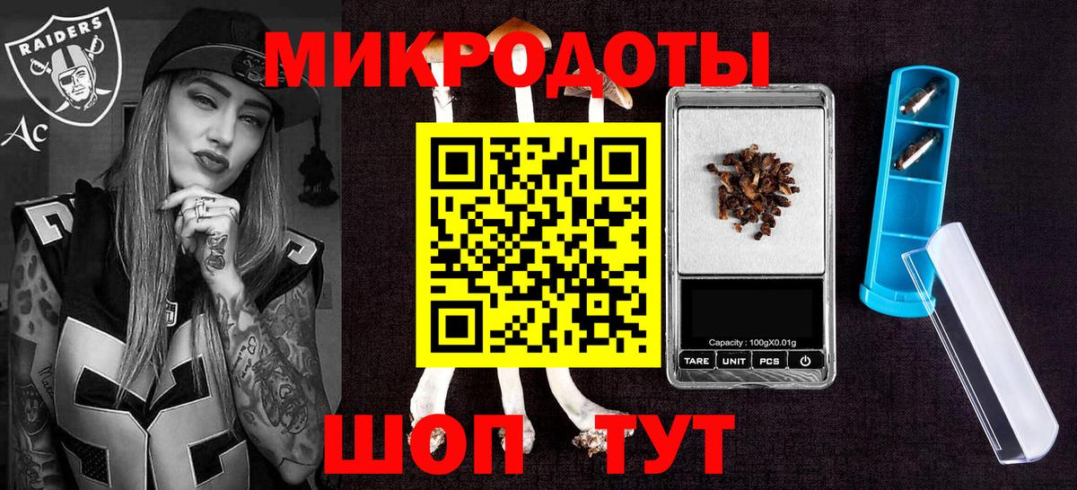 Псилоцибиновые грибы Psilocybine cubensis  Вход с VPN  Красноуфимск 